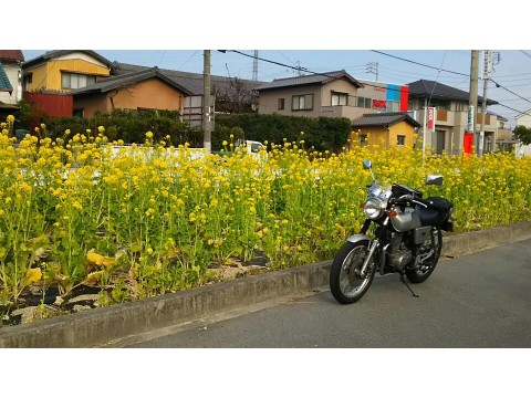 すみれっこラブさんが投稿したツーリング情報