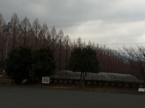 ＹＡＳＵさんが投稿したツーリング情報