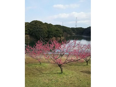すみれっこラブさんが投稿したツーリング情報