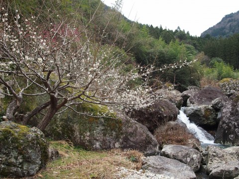 鷲之助さんが投稿したツーリング情報
