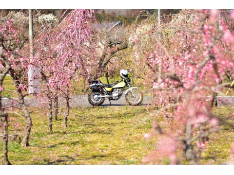 ふくミミさんが投稿したツーリング情報