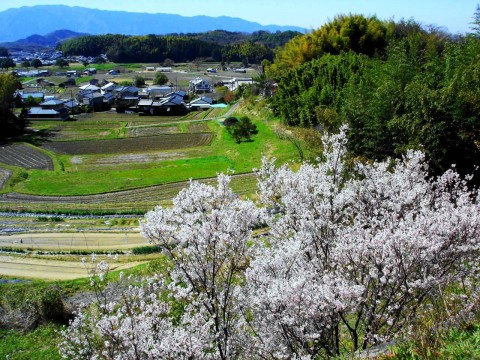 なっかんさんが投稿したツーリング情報