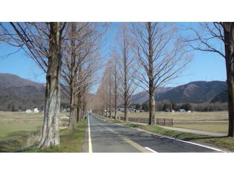 蔵さんが投稿したツーリング情報