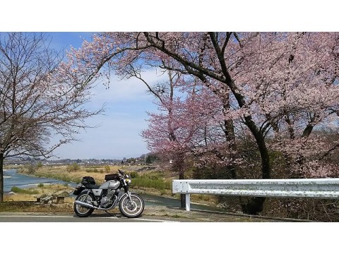 すみれっこラブさんが投稿したツーリング情報