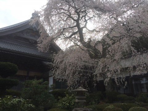 鷲之助さんが投稿したツーリング情報