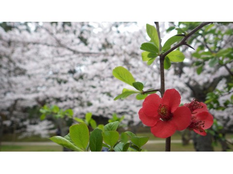 あふりかさんが投稿したツーリング情報