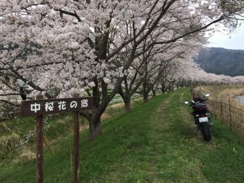 サオリンダーさんが投稿したツーリング情報