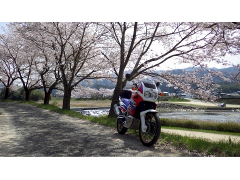 あふりかさんが投稿したツーリング情報