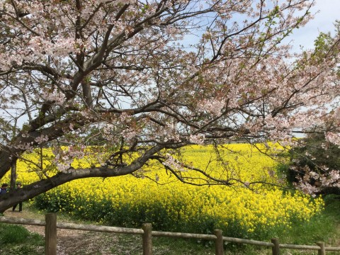 ズカさんが投稿したツーリング情報