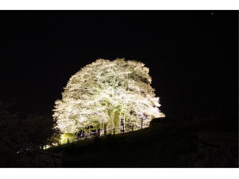 しいのいいのさんが投稿したツーリング情報