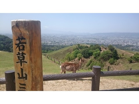 ＲＡＥＬさんが投稿したツーリング情報
