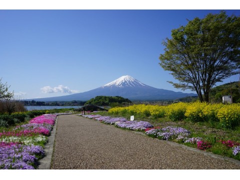 ふくミミさんが投稿したツーリング情報