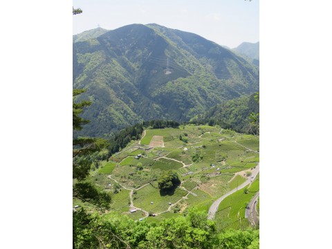 しばえむさんが投稿したツーリング情報