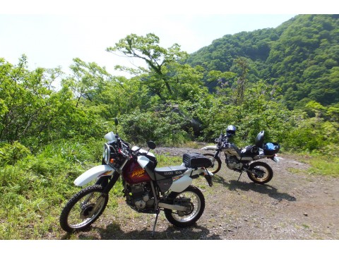 ＮＣ７５０Ｓさんが投稿したツーリング情報