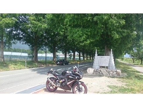 ＲＡＥＬさんが投稿したツーリング情報