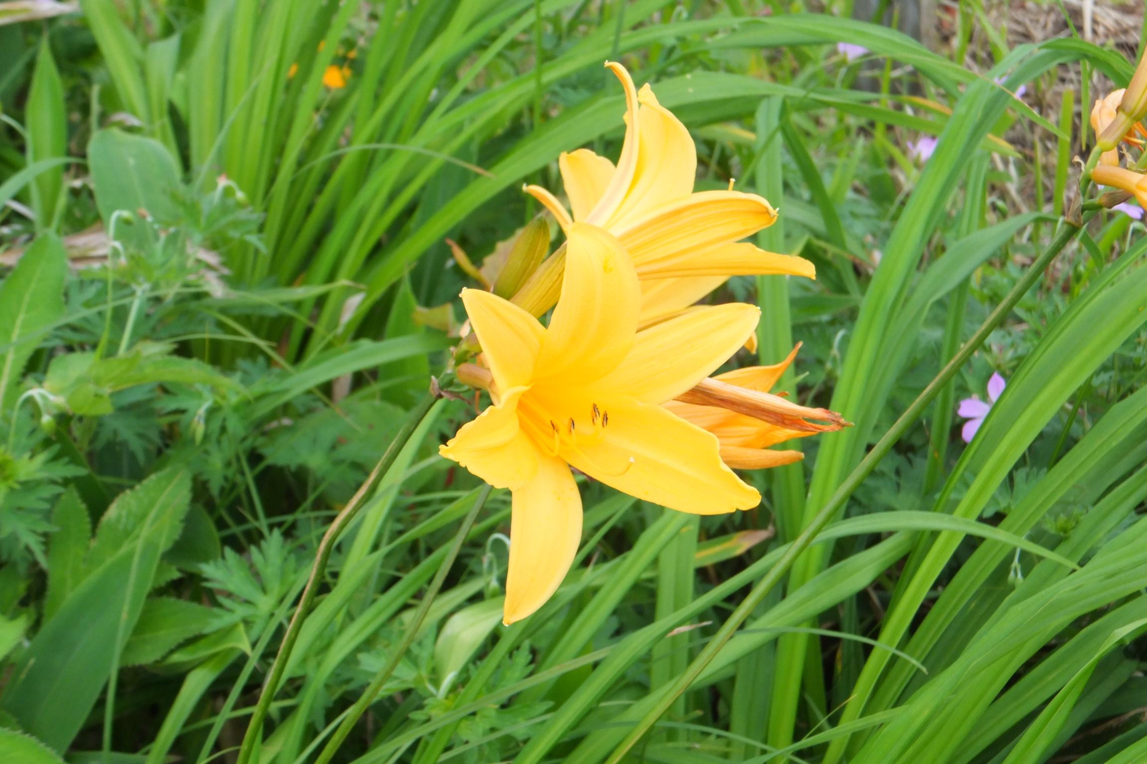 バイクブロスコミュニティ