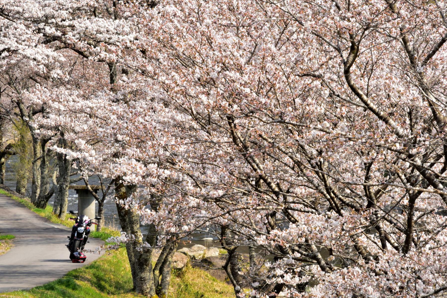 バイクブロスコミュニティ