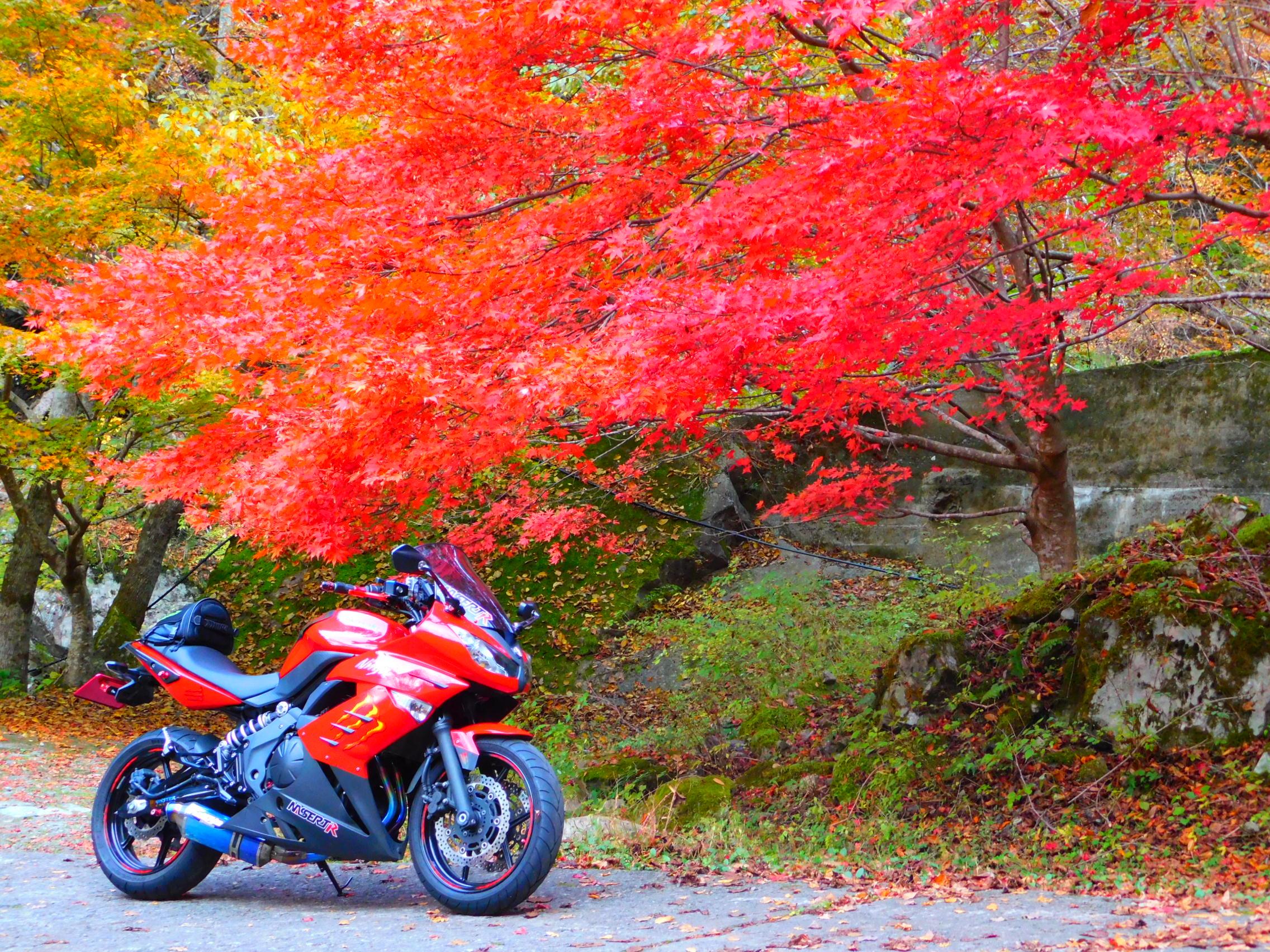 バイクブロスコミュニティ
