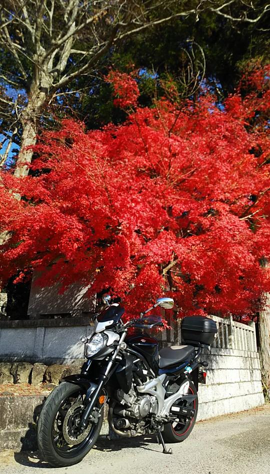バイクブロスコミュニティ