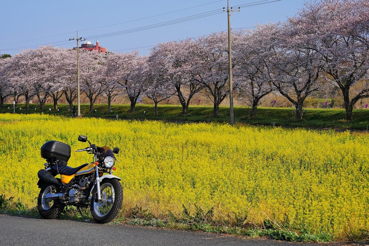 バイクブロスコミュニティ
