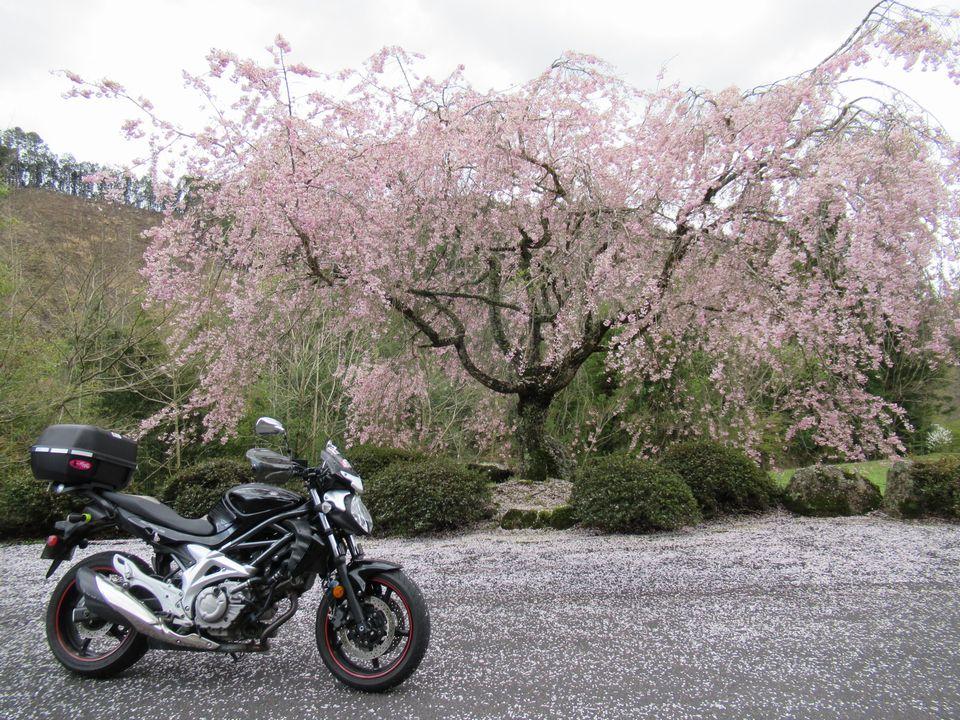 バイクブロスコミュニティ