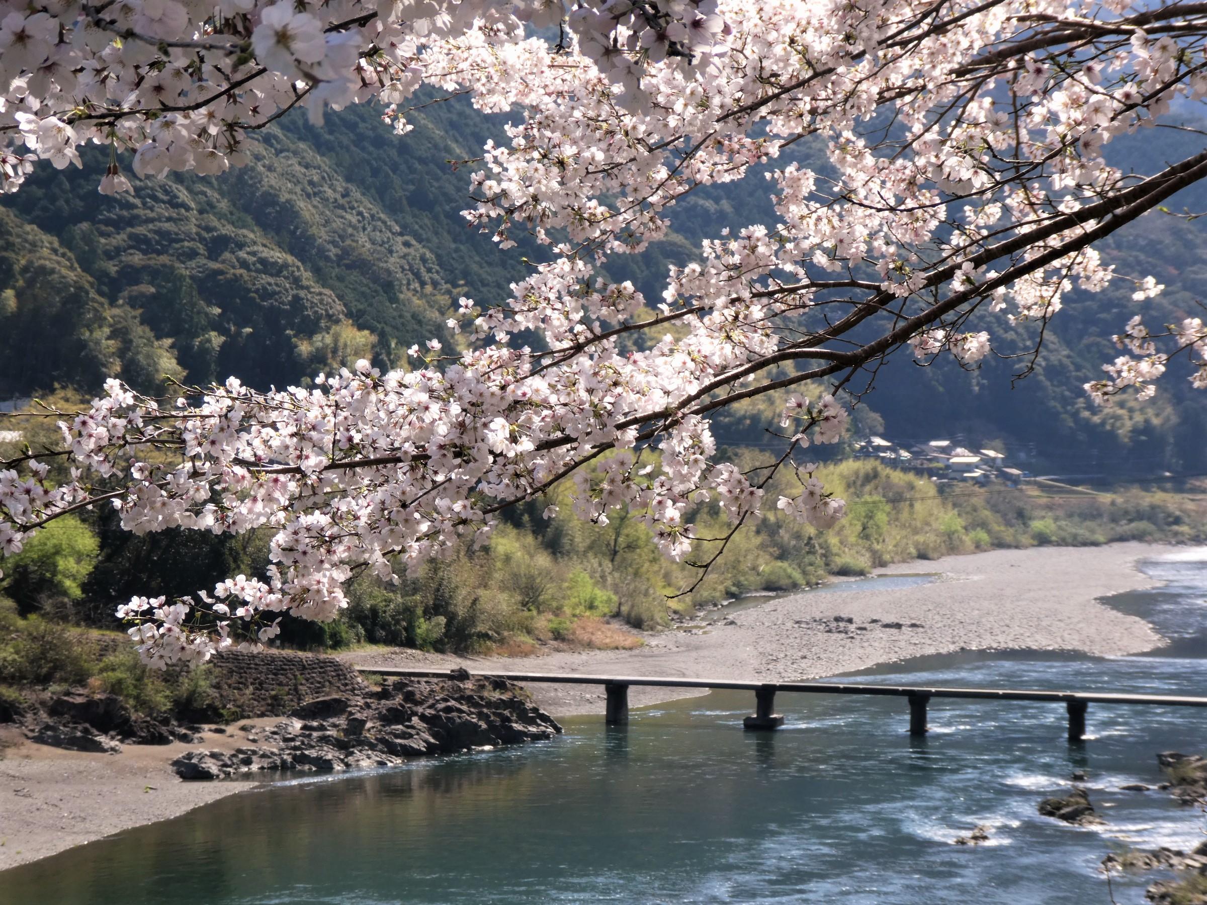 バイクブロスコミュニティ