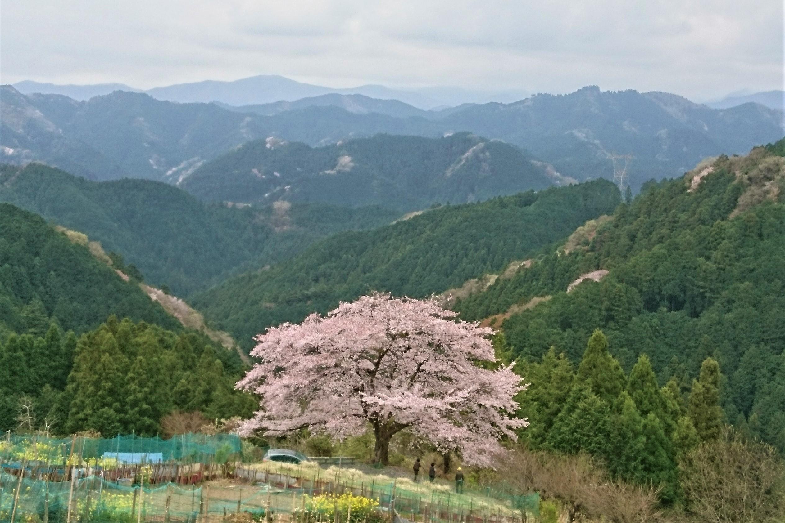 バイクブロスコミュニティ
