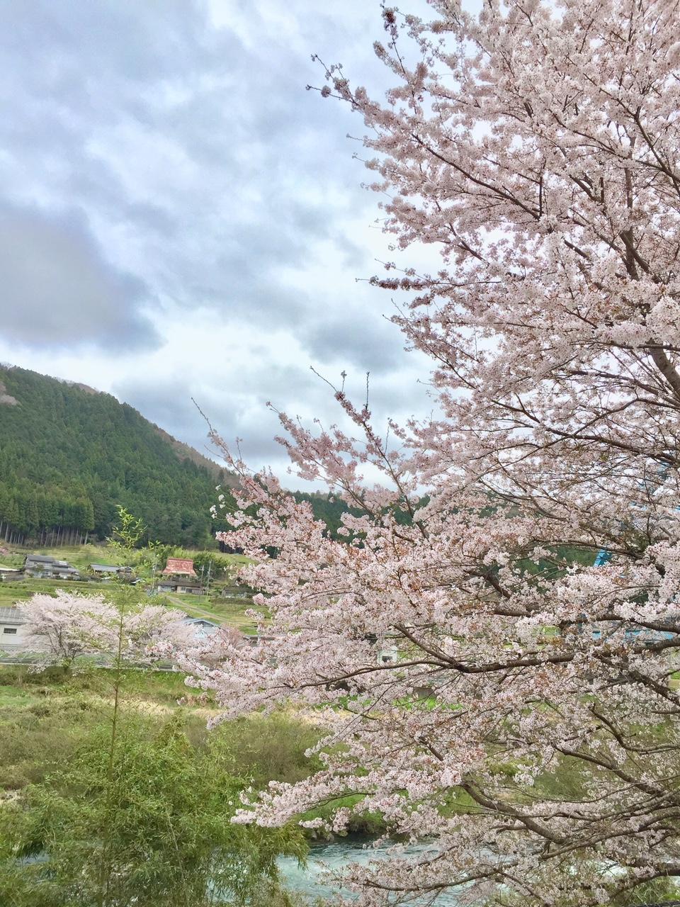 バイクブロスコミュニティ