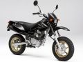 XR50MOTARDXR50⥿