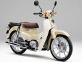 Super Cub 110 Lite¡Ã¥¹¡¼¥Ñ¡¼¥«¥Ö110 Lite