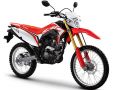 CRF150L