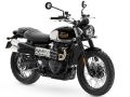 Scrambler 900å֥顼900