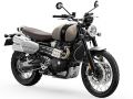 Scrambler 1200 XCå֥顼1200XC