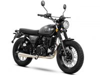 CLASSIC 250�å��饷�å�250