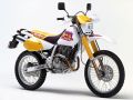 DR250R