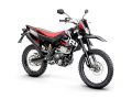 Enduro DRD 125 4T4Våǥ塼DRD125 4T4V