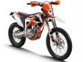 FREERIDE 250Fåե꡼饤250F