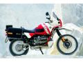 R100GS Paris DakarR100GSѥ