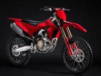 Desmo250 MX�åǥ���250 MX