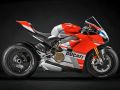 Panigale V4S Corseåѥ˥V4S륻