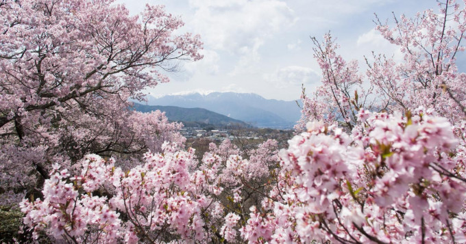 木曽駒ヶ岳