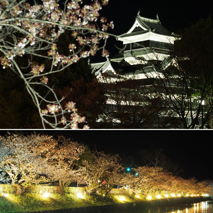松本城の桜は散っていた