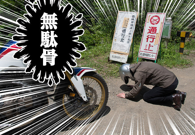 上野大滝林道