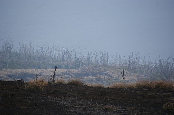 雄山中腹