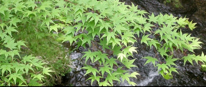 左京区 貴船神社 ツーリング情報局 バイクブロス マガジンズ