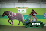 北海道「ばんえい競馬」を訪ねる～アウトライダー最新号特集～