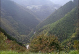 山梨県「林道大ダル線～林道棚沢大成線」