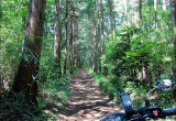 埼玉県「官倉林道（ピストン） ～ (仮)林道笛吹通り東西線」