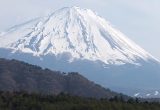春一番 桜海老と富士山ツーリング