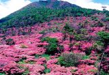 雲仙天草国立公園［長崎県］